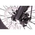 48V1000W Морден дизайн 20 дюймов низкая цена электрический велосипед,складных электровелосипедов,жира шин электрический велосипед